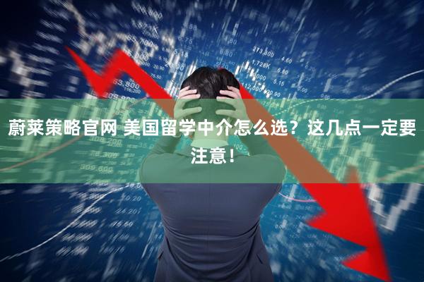 蔚莱策略官网 美国留学中介怎么选?这几点一定要注意!