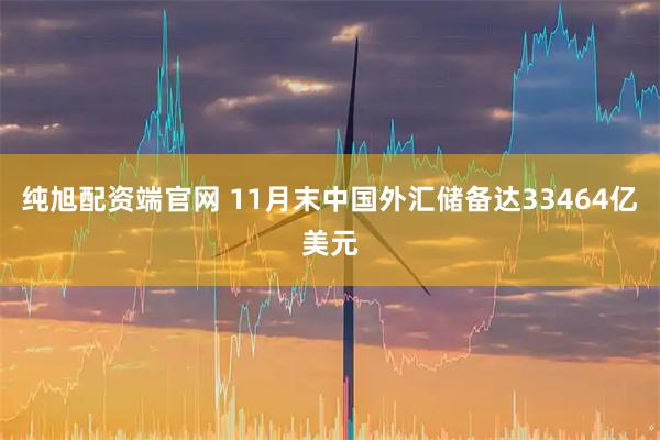 纯旭配资端官网 11月末中国外汇储备达33464亿美元
