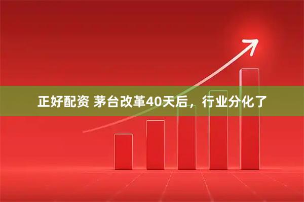 正好配资 茅台改革40天后，行业分化了